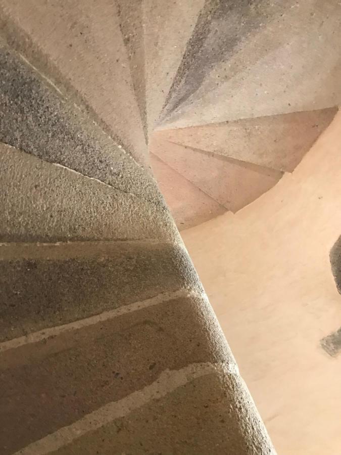 Chateau De Vesset Tréteau Eksteriør billede